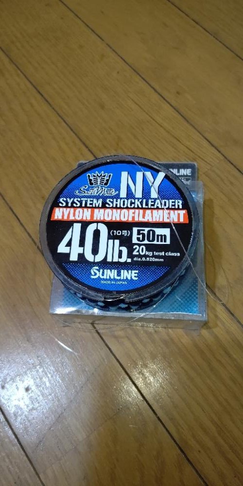 サーフでイトヒキアジ