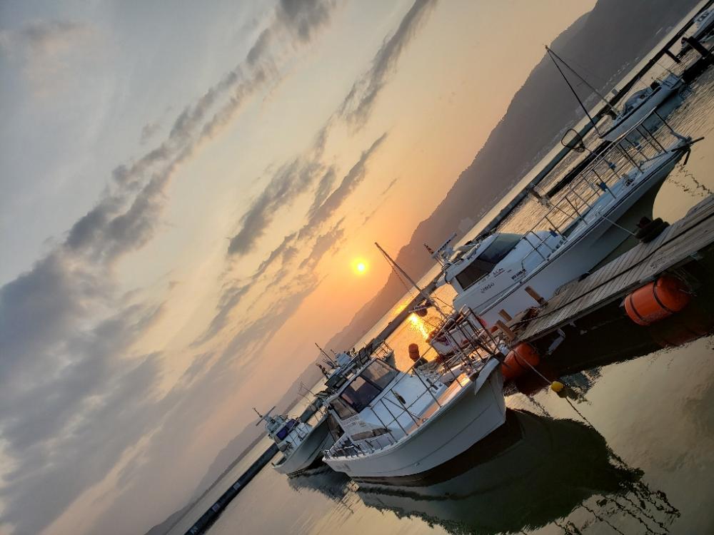 春らしくなってきました