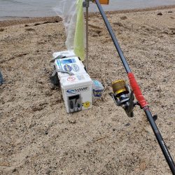 敦賀のキス上向き⤴️