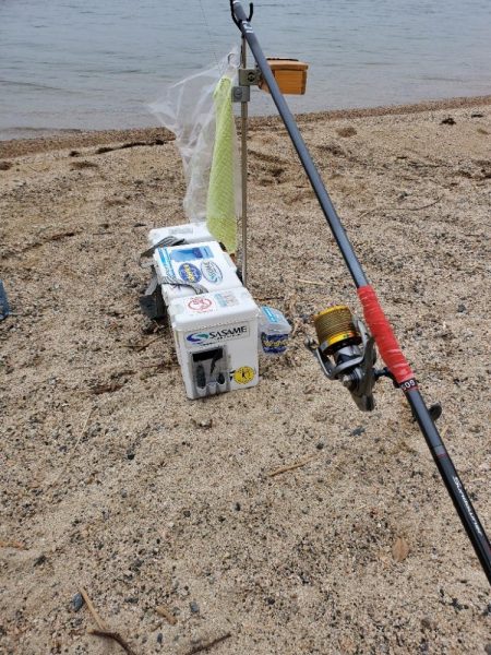 敦賀のキス上向き⤴️