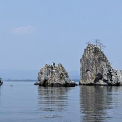 レイクトロ－リング＝ビワマス釣り！