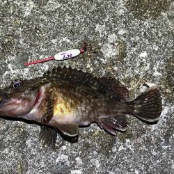 春なのにアミパターンなメバリングで激渋！