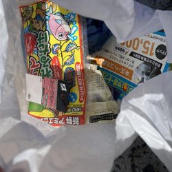 清掃活動：ひっさびさのサビキ釣り