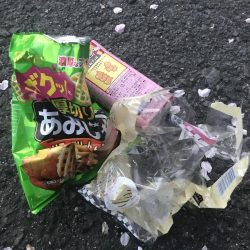 清掃活動：朝マズメのメバリング調査