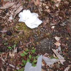 清掃活動：渓流釣り