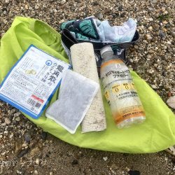 清掃活動：良型カサゴ