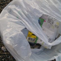 清掃活動：チニング！！カニさん