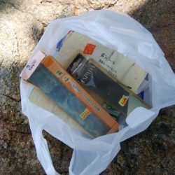 清掃活動：ライトチニングイエロー