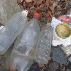 清掃活動：風が吹いたら・・・