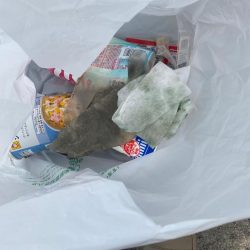 清掃活動：癒し