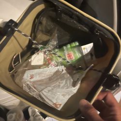 清掃活動：メバル二匹