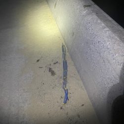 清掃活動：チーバスと謎のゴミ