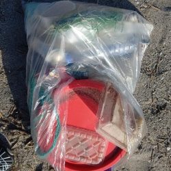 清掃活動：グチとダツ