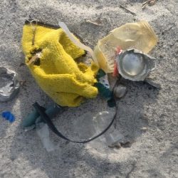 清掃活動：サーフでイトヒキアジ