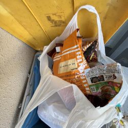 清掃活動：花見カレイ不発