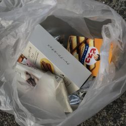 清掃活動：ヘチ釣りでキビレGET