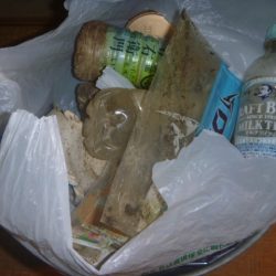 清掃活動：春ニゴイ