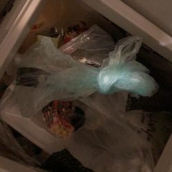 清掃活動：初バスは50up！！