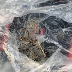 清掃活動:チニングにショアジギに最高な1日…