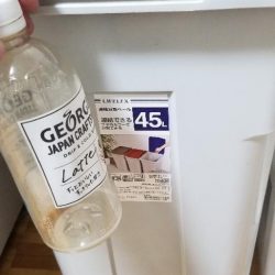 清掃活動：春イカ大量