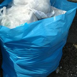 清掃活動：今日はフカセでチヌ‼…