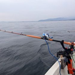 レイクトロ－リング＝ビワマス釣り！