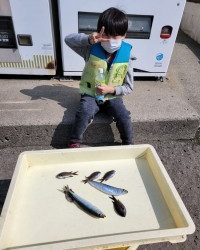 和歌山マリーナシティ釣り公園 釣果