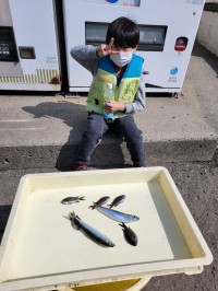 和歌山マリーナシティ釣り公園 釣果