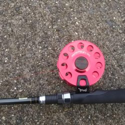 今日はヘチ釣り