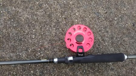 今日はヘチ釣り