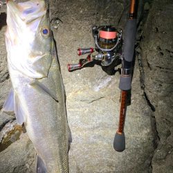 楽しいメバリング