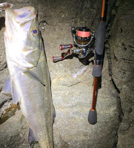 楽しいメバリング