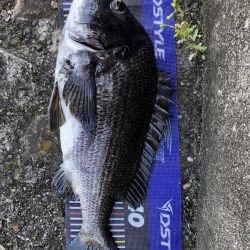 イチノ兄弟、釣果！