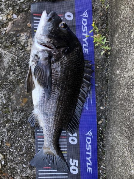 イチノ兄弟、釣果！