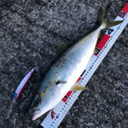 のんびり遠投カゴ釣りにて