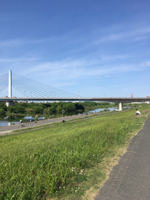 外来種駆除イベント