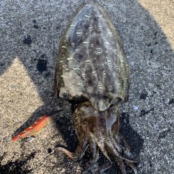 本命ではないけど…