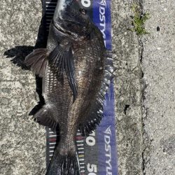 イチノ兄弟、釣果！