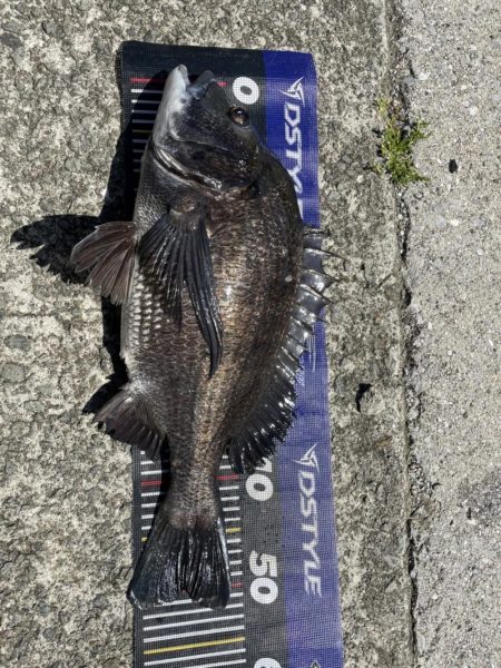 イチノ兄弟、釣果！