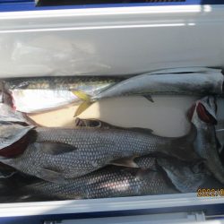 黒ムツ、鬼カサゴ　釣れました(^_-)-☆