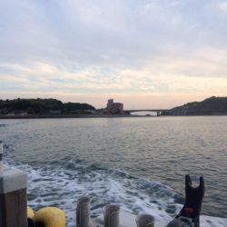 初めてのタコ釣りはほろ苦いデビュー戦になりました