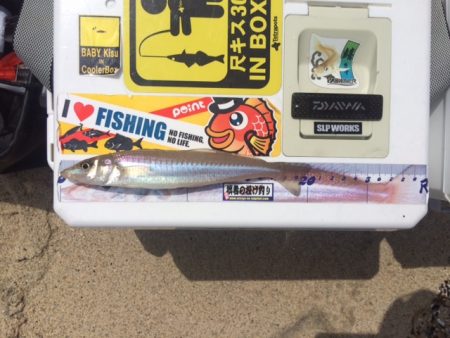 近場のサーフでキスのアタリを楽しみました