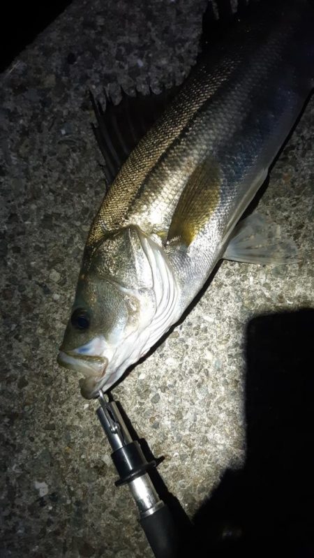 場所移動して。