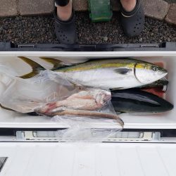 今年１発目のジギング