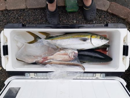 今年１発目のジギング