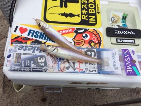 キス釣りの聖地、弓ヶ浜への釣行