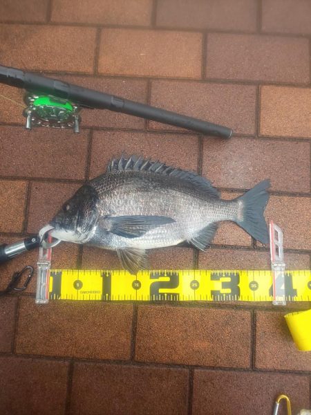 そろそろ　～辰巳運河～