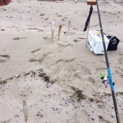 弓ヶ浜で気持ち良くキス釣りしてきました