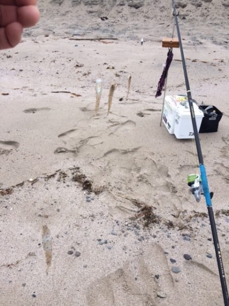 弓ヶ浜で気持ち良くキス釣りしてきました
