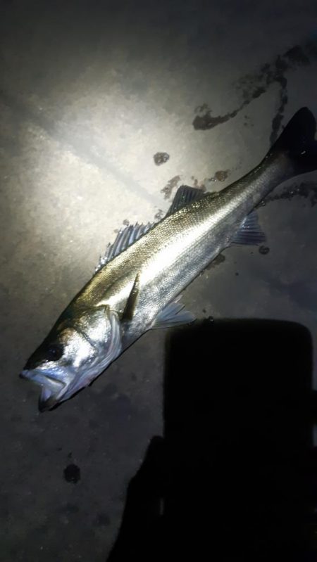 潮もよくなってきたので！